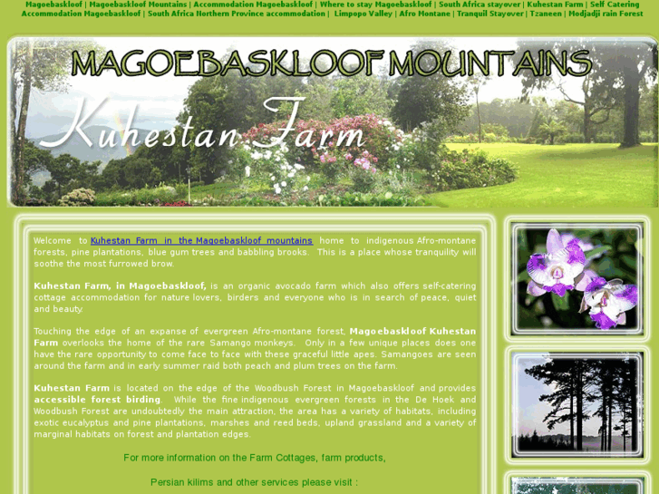 www.magoebaskloof.net