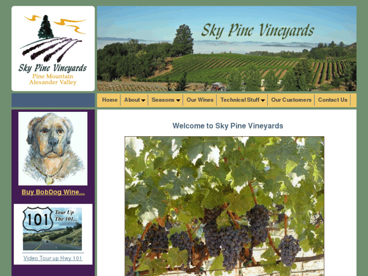 www.skypinevineyards.com