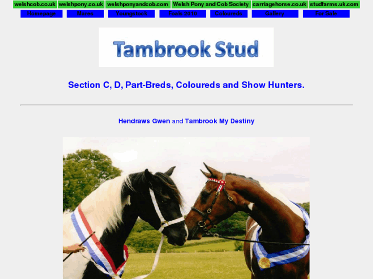 www.tambrookstud.com