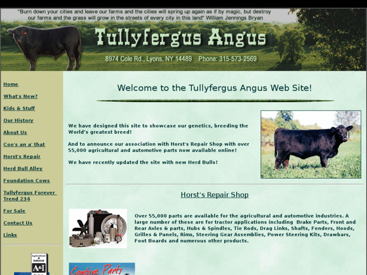 www.tullyfergus.com