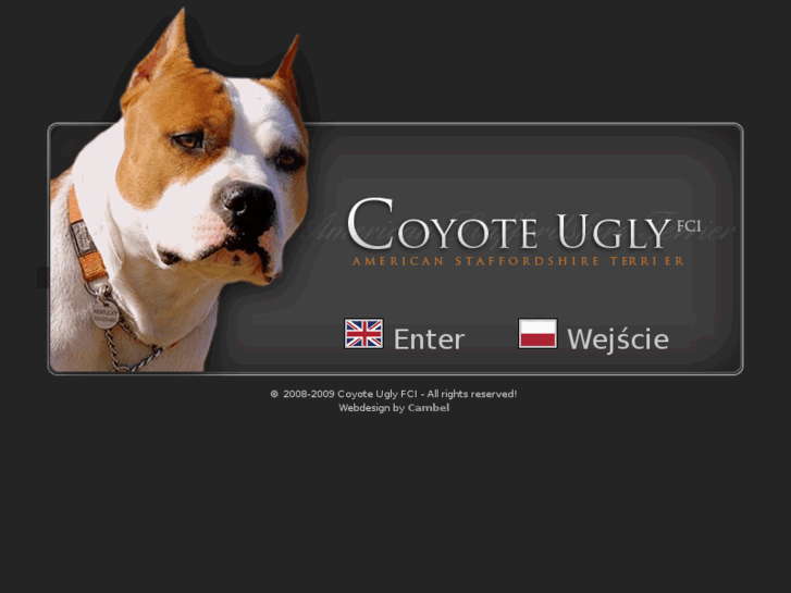 www.coyote-ugly.pl