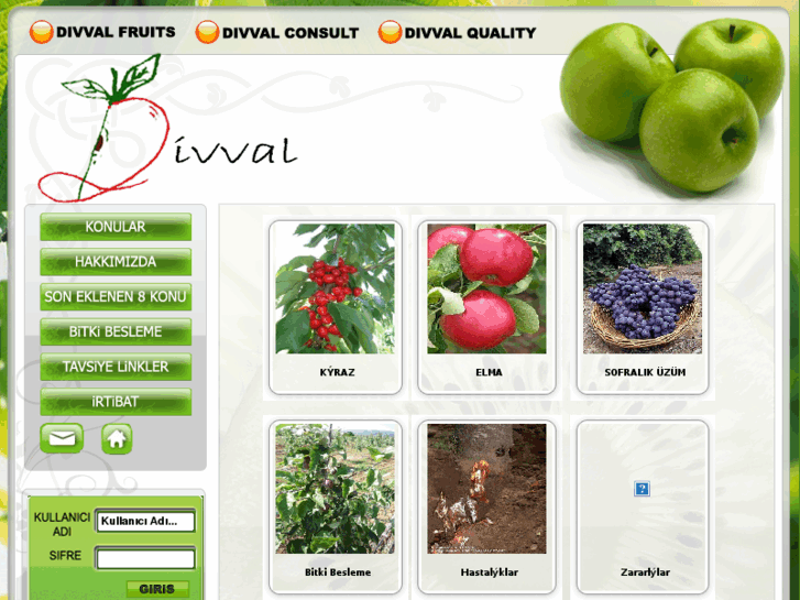 www.divvalconsult.com