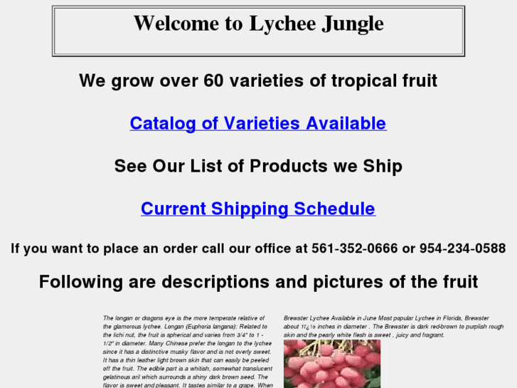 www.lycheejungle.com