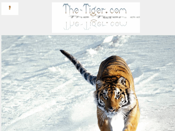 www.the-tiger.com