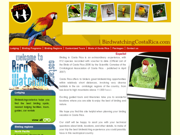 www.birdwatchingcostarica.com