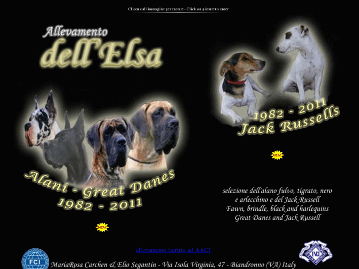 www.dellelsa.it