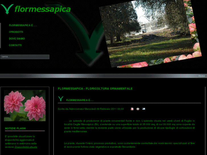 www.flormessapica.com