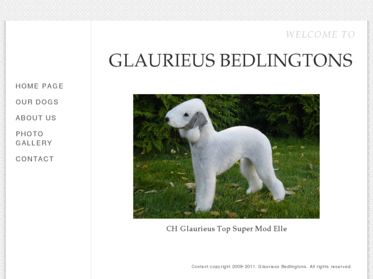 www.glaurieusbedlingtons.com