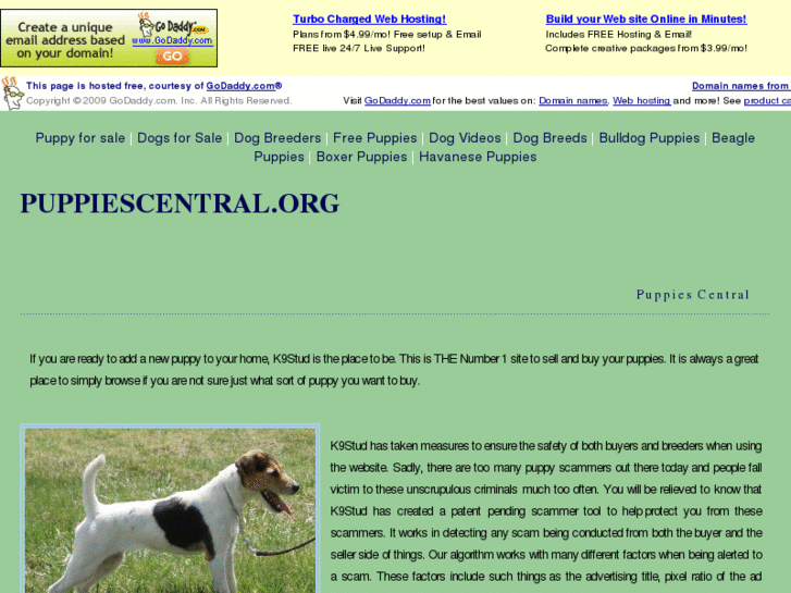 www.puppiescentral.org