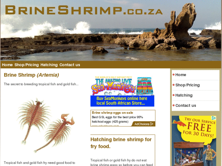 www.brineshrimp.co.za