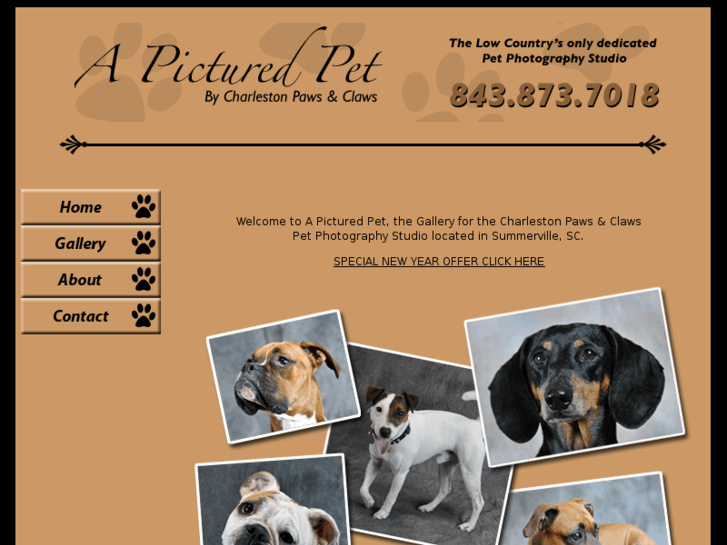 www.charlestonpawtography.com