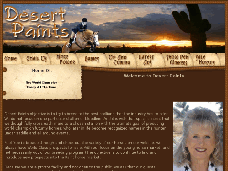 www.desertpainthorses.com