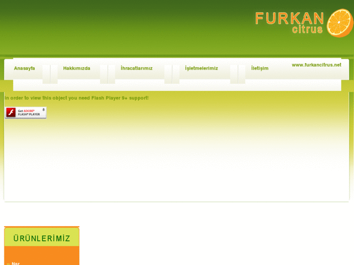 www.furkancitrus.net