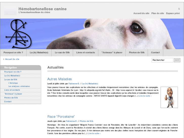 www.hemobartonellose-canine.com