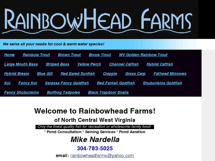 www.rainbowhead.com