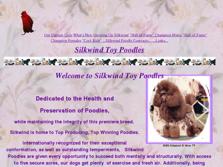 www.silkwindpoodles.com