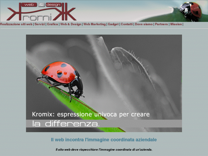 www.sitiinternetvarese.it