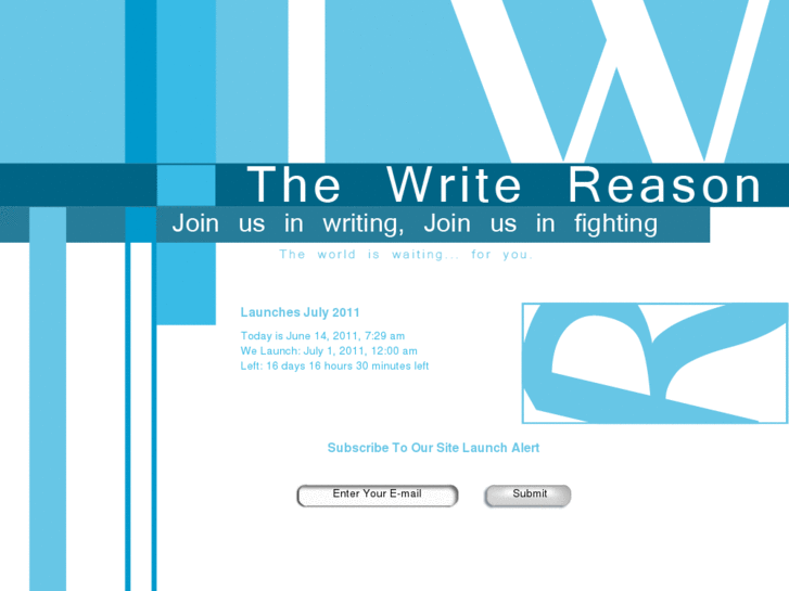 www.thewritereason.com