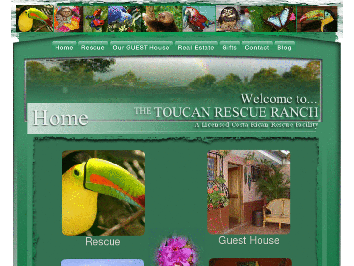 www.toucanrescueranch.com