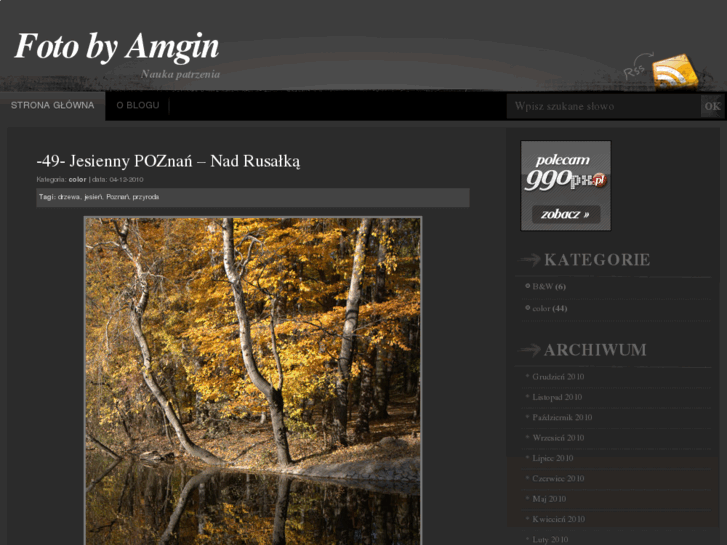 www.amgin.pl