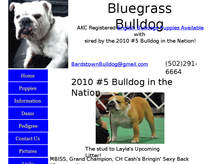 www.bardstownbulldog.com