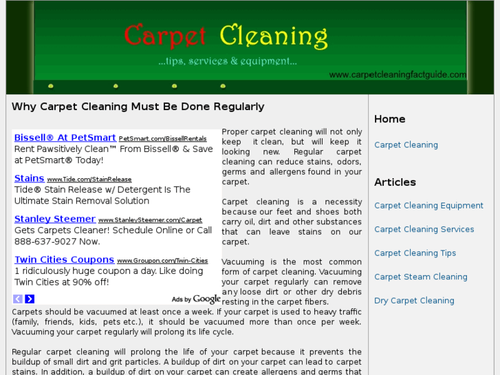 www.carpetcleaningfactguide.com