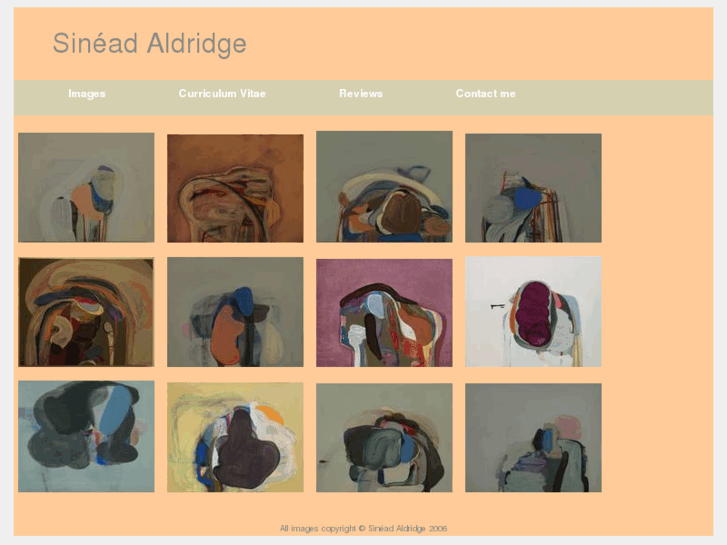 www.sineadaldridge.com