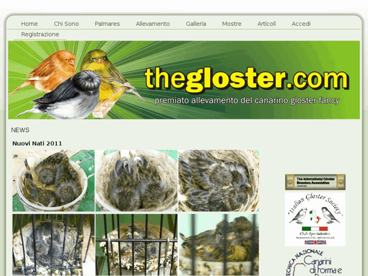 www.thegloster.com