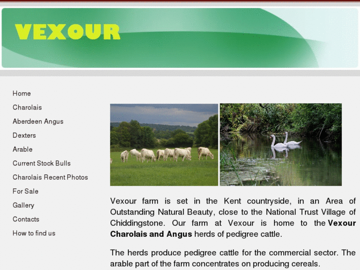 www.vexour.com