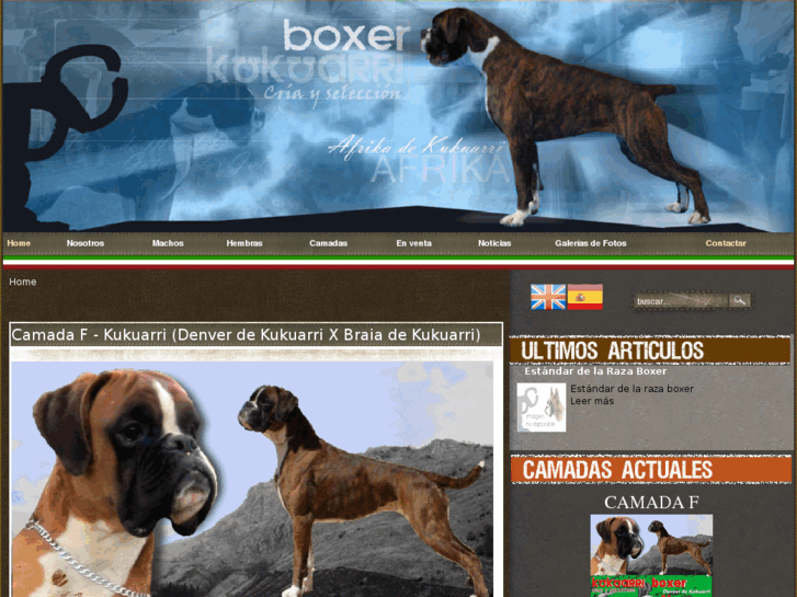 www.boxerdekukuarri.com