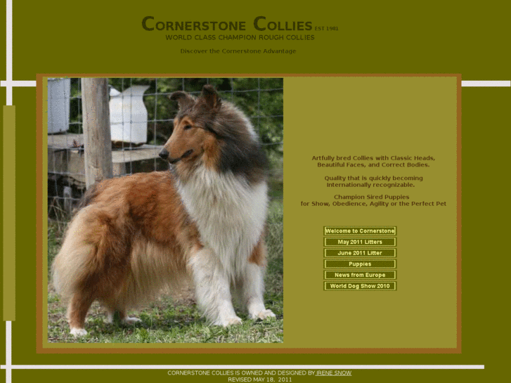 www.cornerstonecollies.com