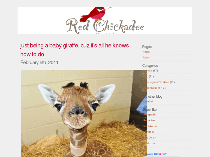 www.redchickadee.com