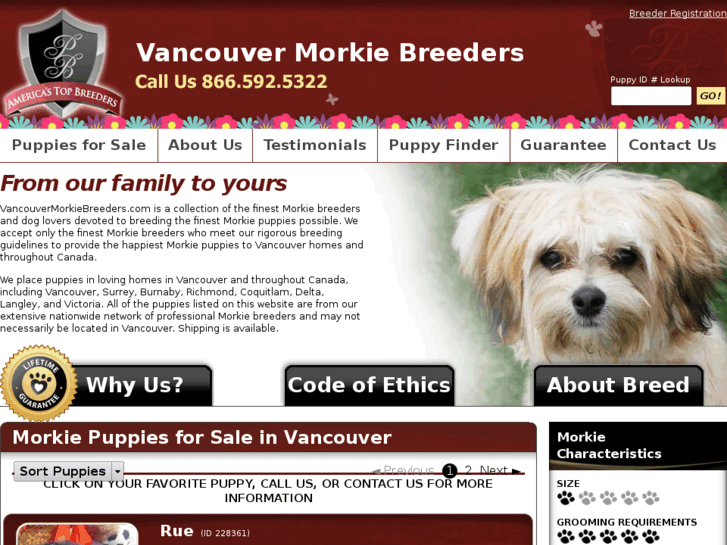 www.vancouvermorkiebreeders.com