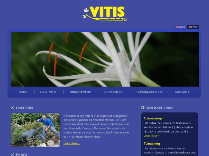 www.vitiscuracao.com