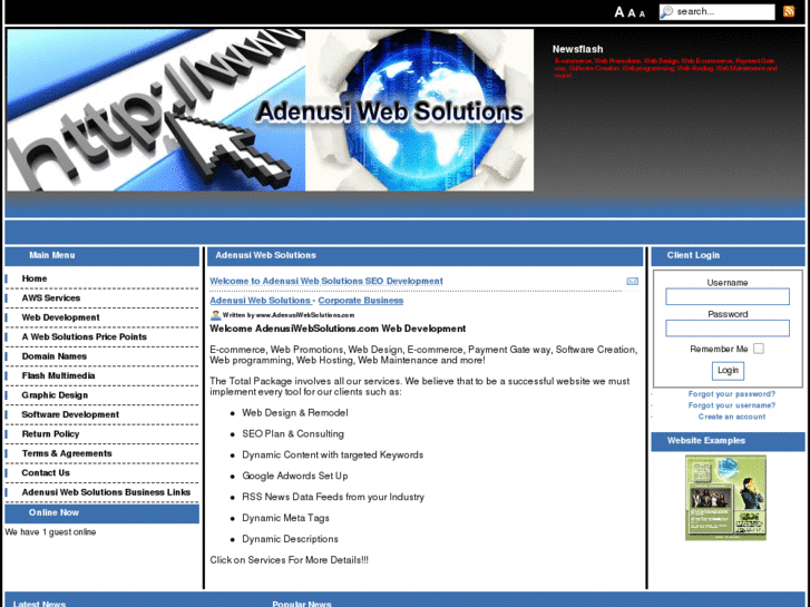 www.adenusiwebsolutions.com