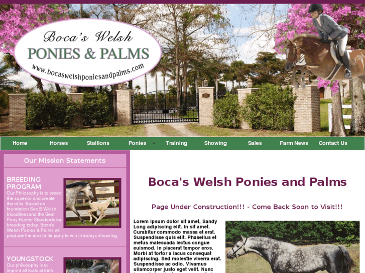 www.bocaswelshponiesandpalms.com