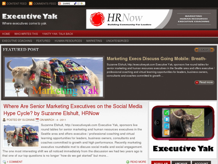 www.executiveyak.com