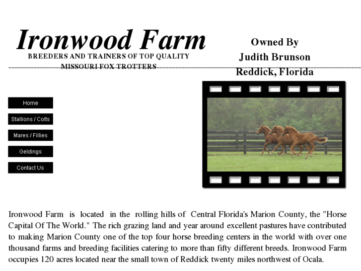 www.foxtrotterhorses.com