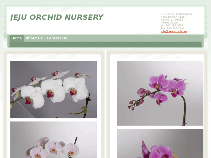 www.jejuorchid.com