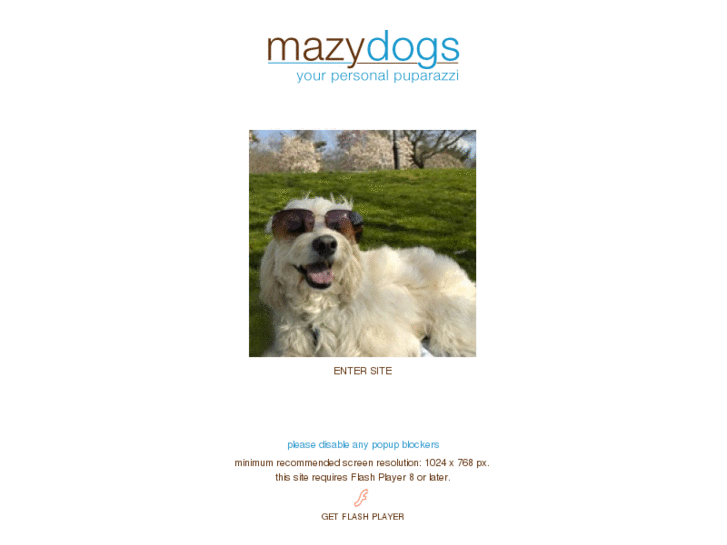 www.mazydogs.com