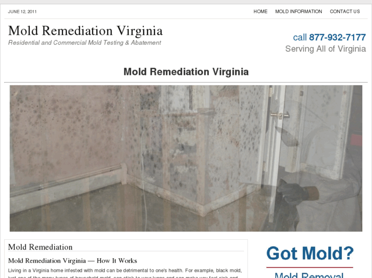 www.moldremediationvirginia.com