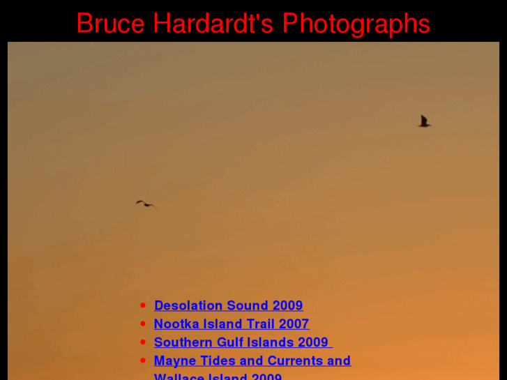 www.brucehardardt.com