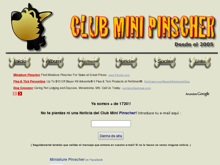 www.clubminipinscher.com