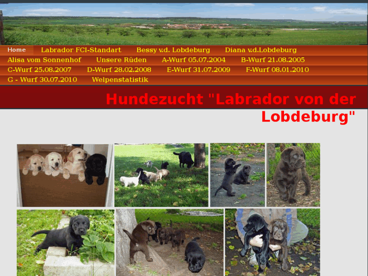 www.labrador-von-der-lobdeburg.de