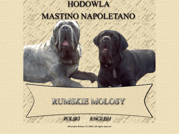 www.mastino.net.pl