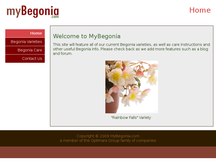 www.mybegonia.com