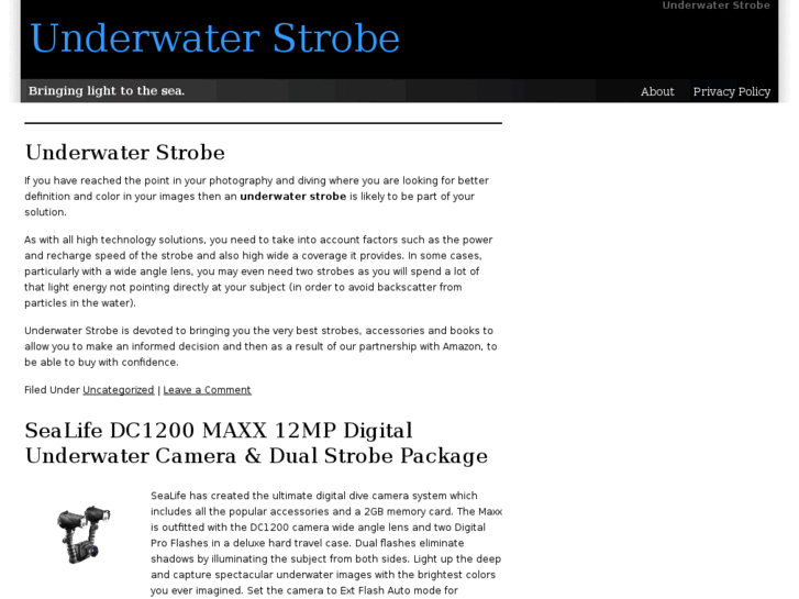 www.underwaterstrobe.org