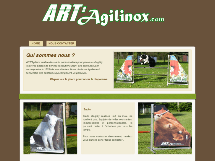 www.artagilinox.com