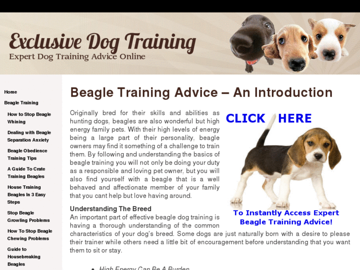 www.exclusivedogtraining.com