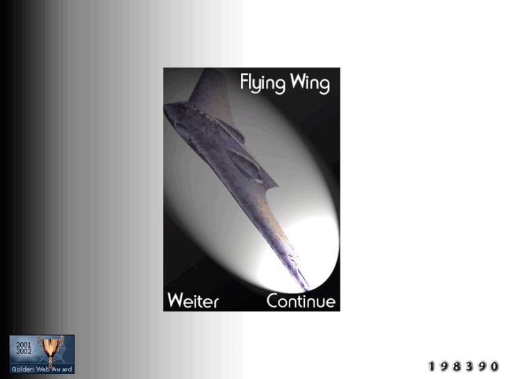 www.flying-wing.de